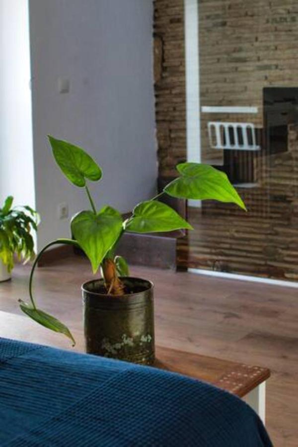 Casa Particular Mediterranea En El Centrico Casco Antiguo A Un Paso Del Mar Dénia Exterior foto